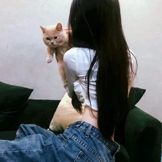美人记·昭君